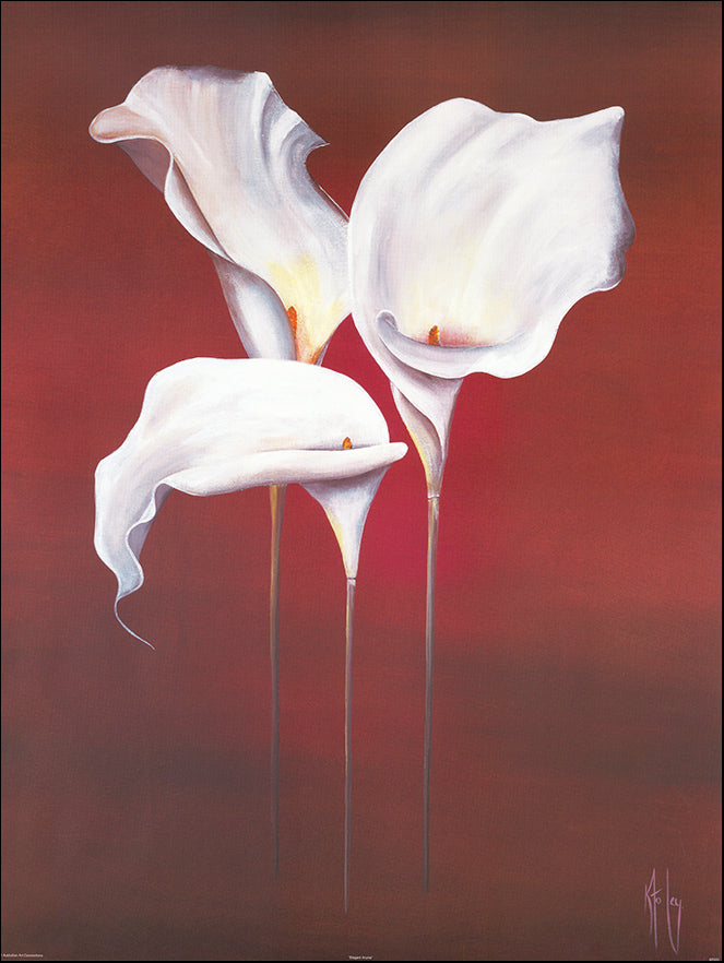 AAC KF031 Elegant Arums by Karen Foley muiltiple sizes on paper