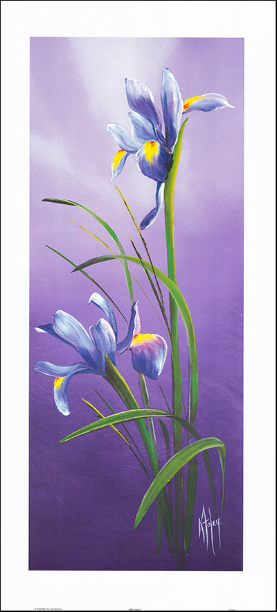 AAC KF038 Wild Irises 2 by Karen Foley 42x91cm on paper