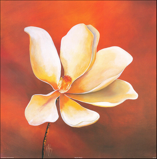 AAC KF039 Magnolia Beauty 2 by Karen Foley 50x50cm on paper