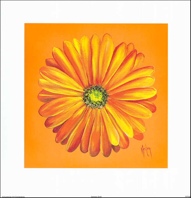 AAC KF046 Gerbra Gold by Karen Foley 35x36cm on paper - Chamton