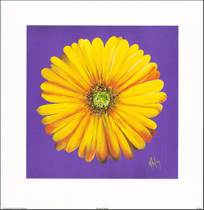AAC KF047 Gerbra Yellow by Karen Foley 35x36cm on paper