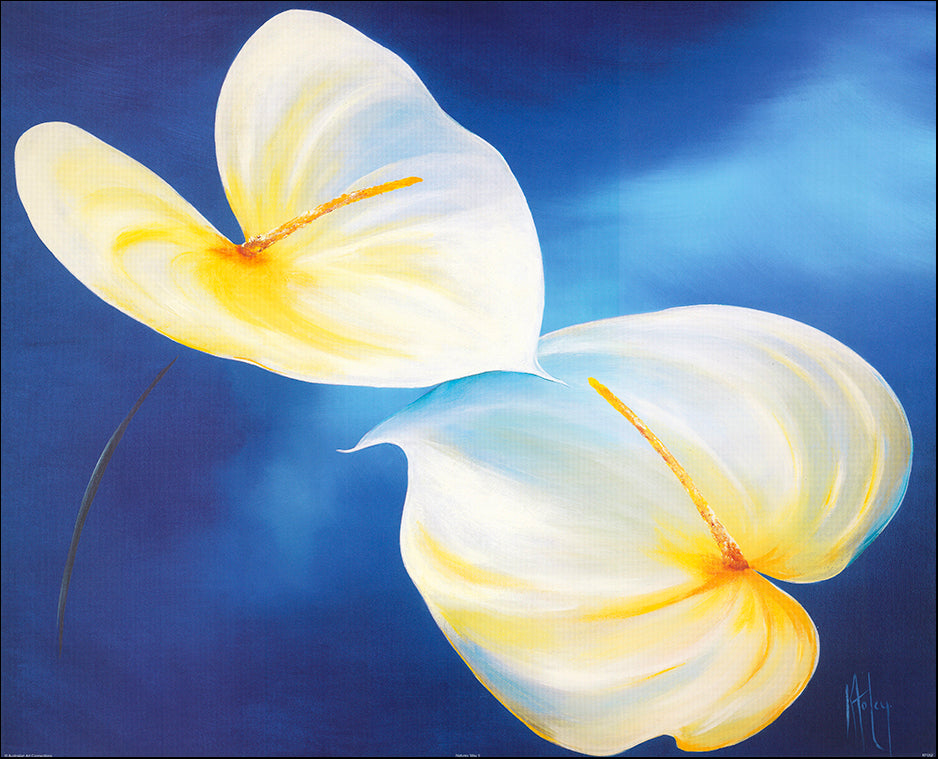 AAC KF052 Natures Way 2 by Karen Foley multiple sizes on paper