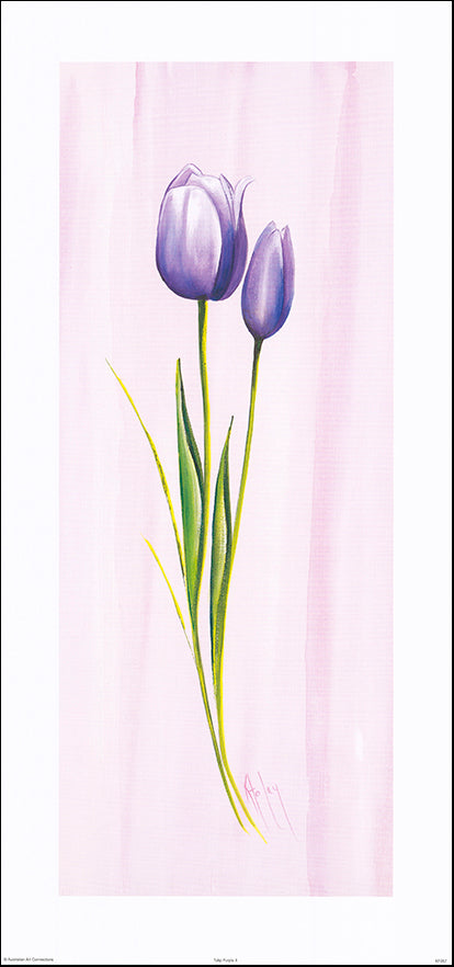 AAC KF057 Tulip Purple 2 by Karen Foley 37x78cm on paper