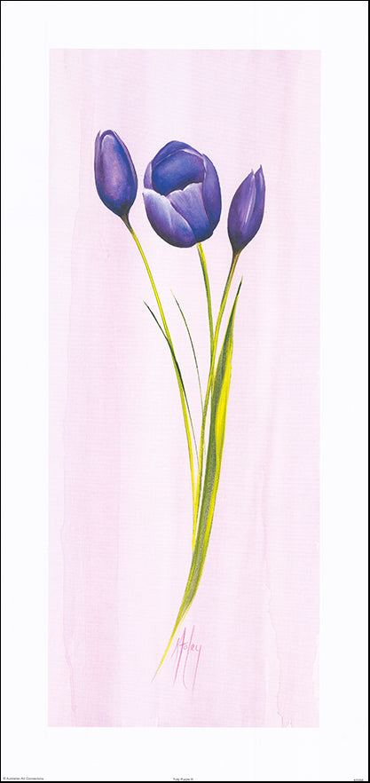 AAC KF058 Tulip Purple 3 by Karen Foley 37x78cm on paper - Chamton