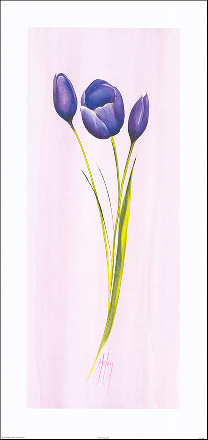 AAC KF058 Tulip Purple 3 by Karen Foley 37x78cm on paper