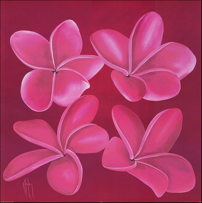 AAC KF060 Aroma by Karen Foley 69x69cm on paper