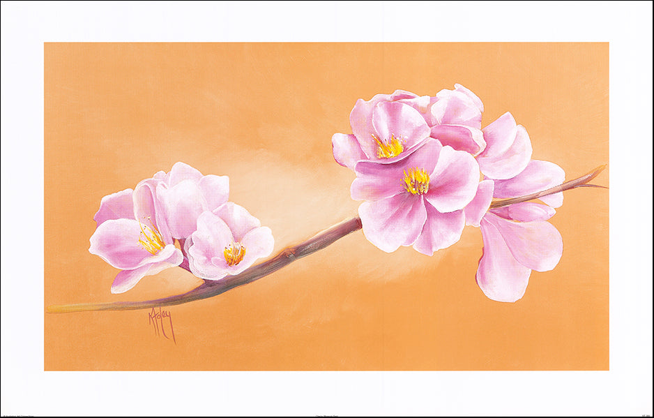 AAC KF069 Cherry Blossom Fest by Karen Foley multiple sizes on paper