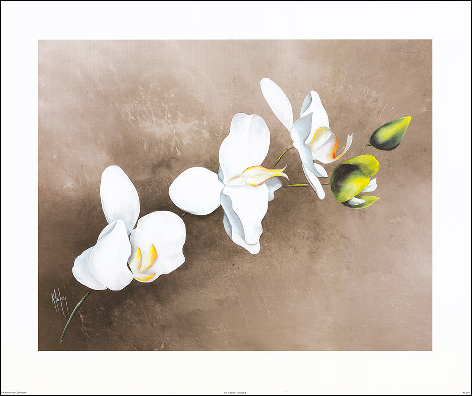 AAC KF076 Set in Stone - Orchids 2 by Karen Foley 76x63cm on paper
