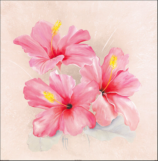 AAC KF080 Light of Day Hibiscus by Karen Foley multiple sizes on paper - Chamton