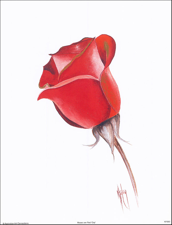 AAC KF083 Roses are Red Coy by Karen Foley 27x35cm on paper
