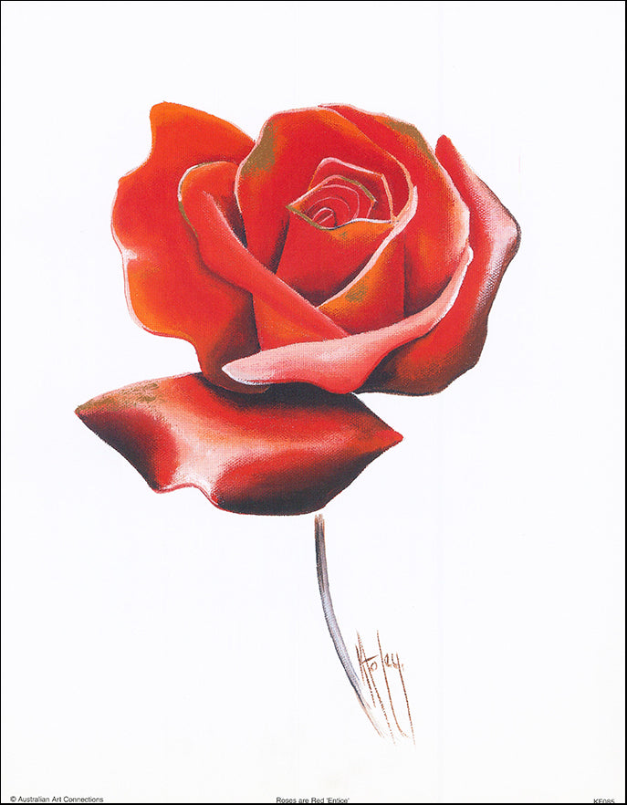 AAC KF085 Roses are Red Entice by Karen Foley 27x35cm on paper
