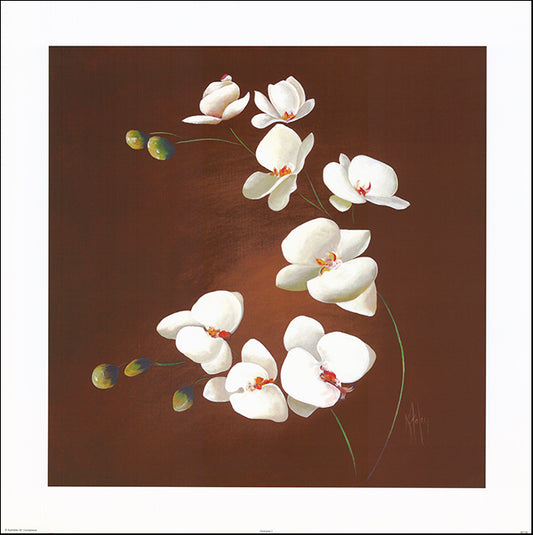 AAC KF103 Profusion 1 by Karen Foley multiple sizes on paper