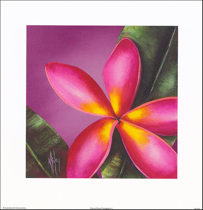 AAC KF107 Cherry Cheer Frangipanni 1 by Karen Foley 35x35cm on paper