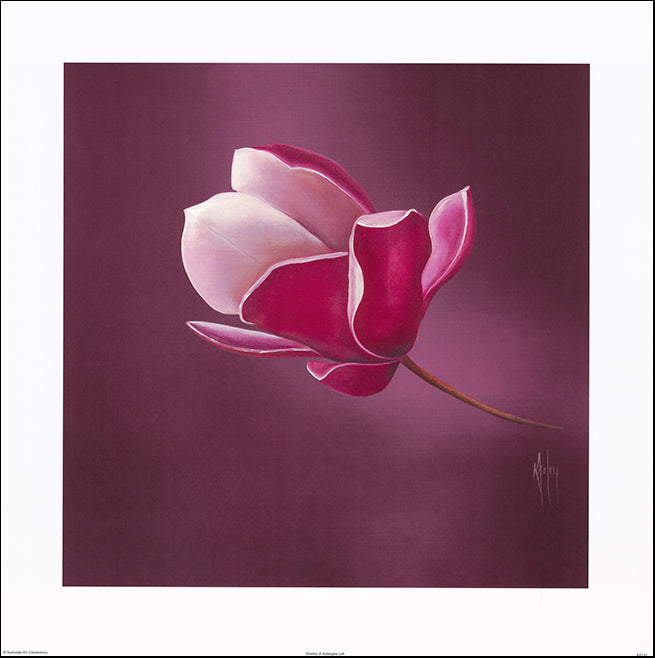 AAC KF110 Triptych - Shades of Aubergine Left by Karen Foley multiple sizes on paper