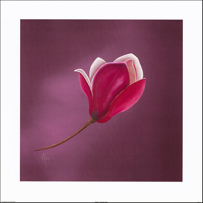 AAC KF112 Triptych - Shades of Aubergine Right by Karen Foley multiple sizes on paper - Chamton