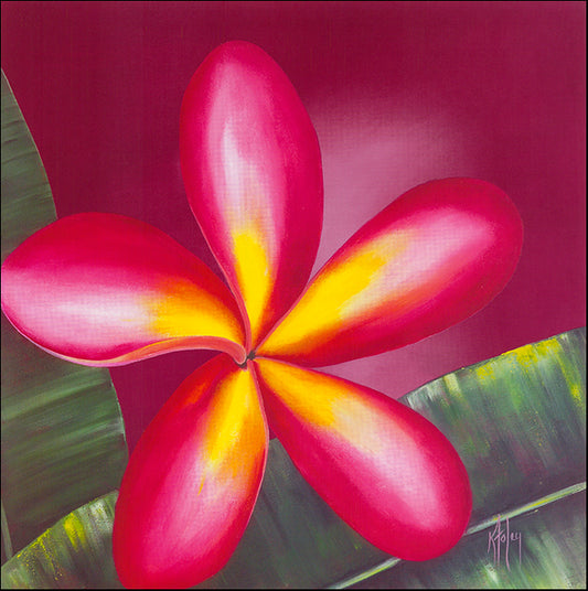 AAC KF114 Cherry Cheer Frangipanni 3 by Karen Foley 48x48cm on paper - Chamton