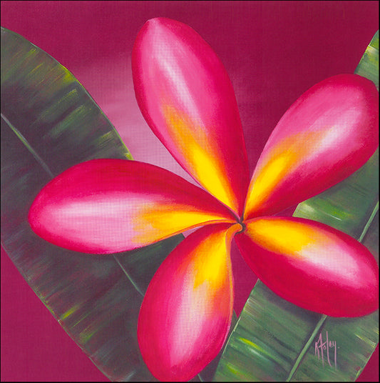 AAC KF115 Cherry Cheer Frangipanni 4 by Karen Foley 48x48cm on paper - Chamton