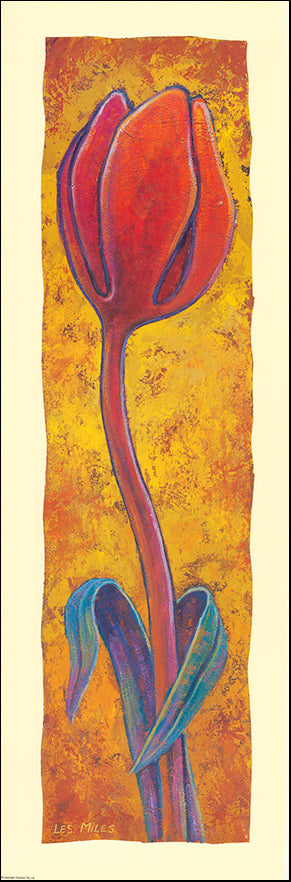 AAC LM902 Tulip 3 by Les Miles 28x86cm on paper