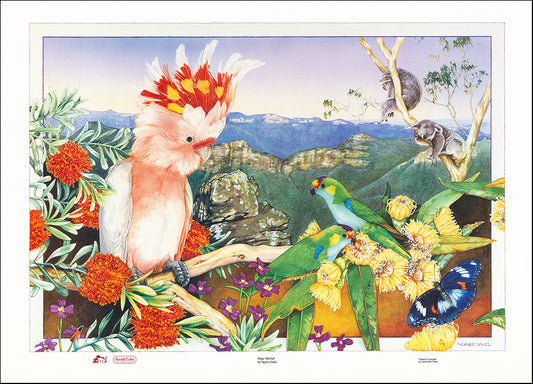 AAC NSO031 Major Mitchell by Ngaire Sales multiple sizes on paper