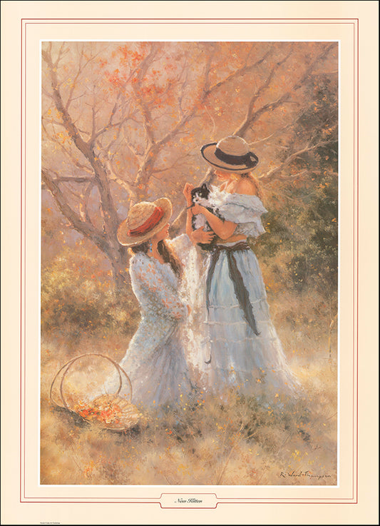 AAC RWT0289 New Kitten by Ramon Ward Thompson multiple sizes on paper
