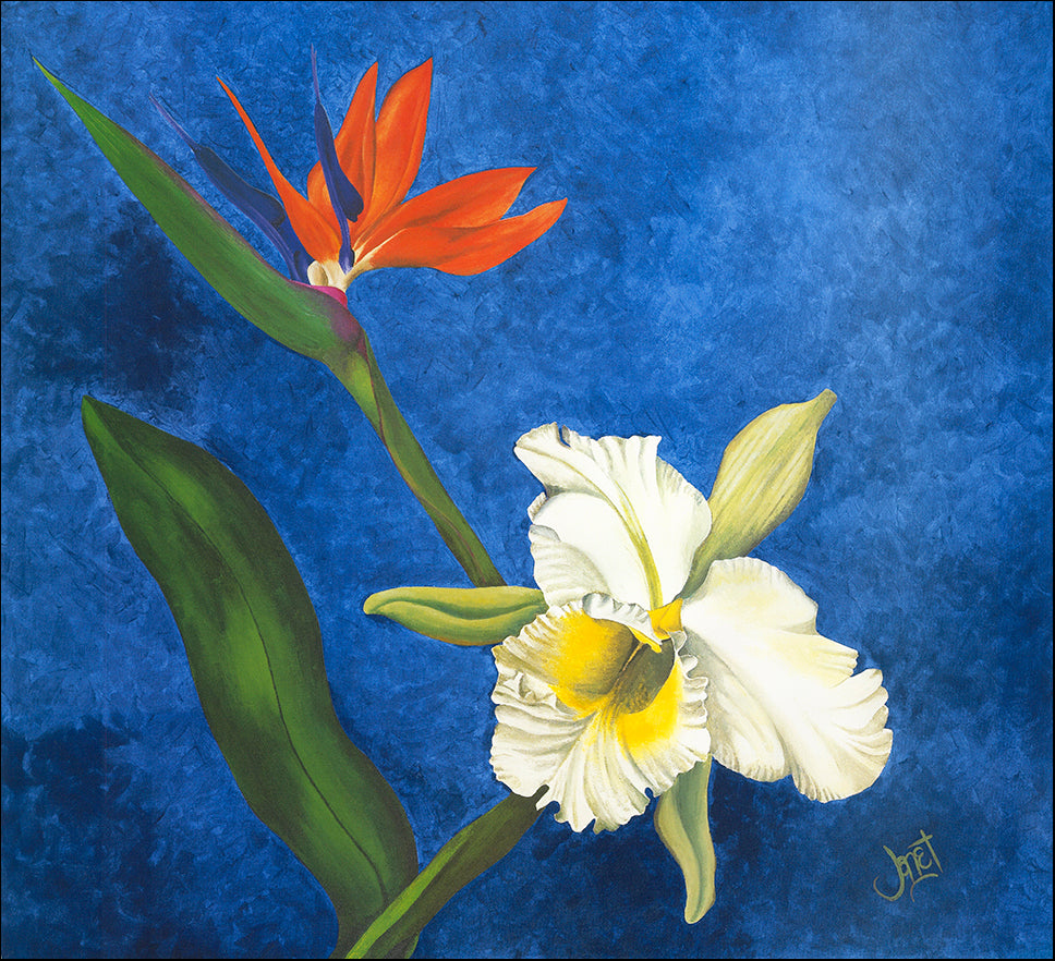 AAC WJ002 Floral Charm 2 by Janet Wilson multiple sizes on paper - Chamton