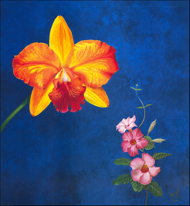 AAC WJ005 Floral Calm 3 by Janet Wilson multiple sizes on paper