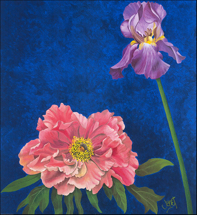 AAC WJ006 Floral Calm 4 by Janet Wilson multiple sizes on paper