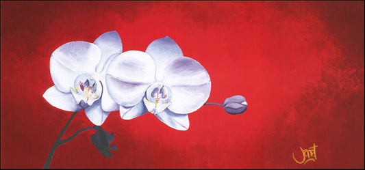 AAC WJ010 Oriental Delicacy 1 by Janet Wilson multiple sizes on paper