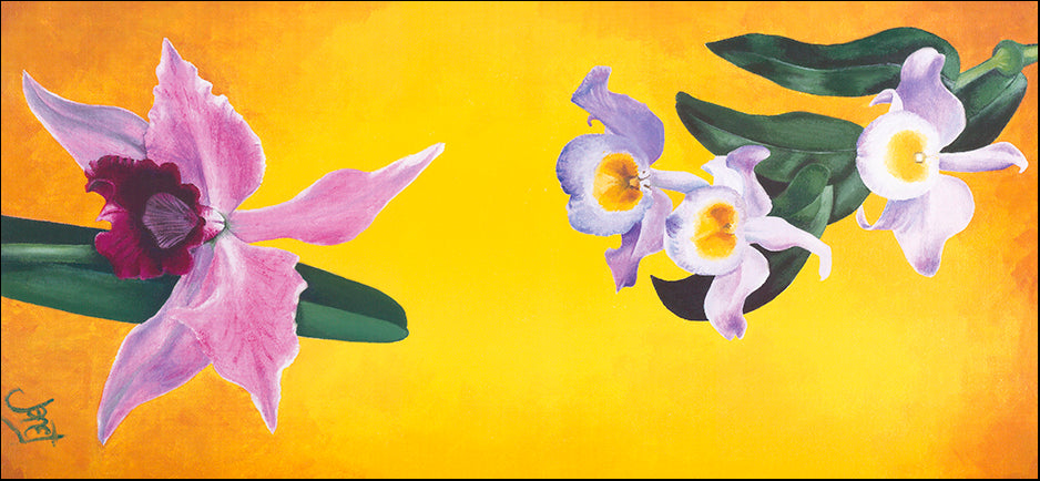 AAC WJ012 Orchidee Or 1 by Janet Wilson multiple sizes on paper - Chamton