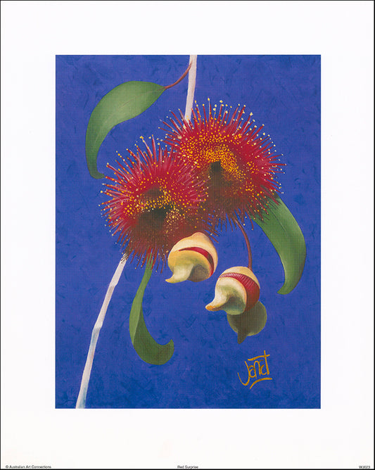 AAC WJ023 Red Surprise by Janet Wilson 34x42cm on paper