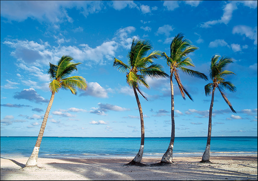 AADT83031051 Palm trees on the beach, available in multiple sizes