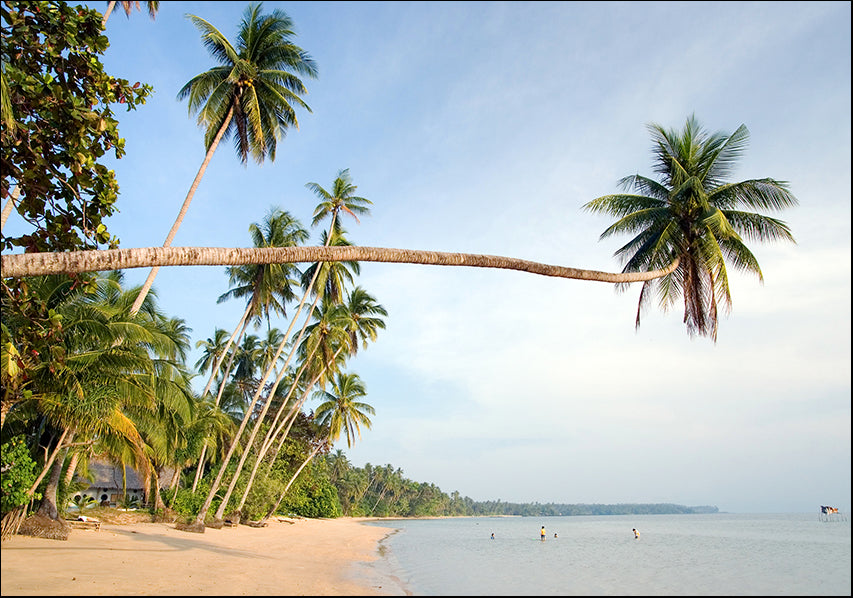 AADT84256974 Tropical paradise, available in multiple sizes