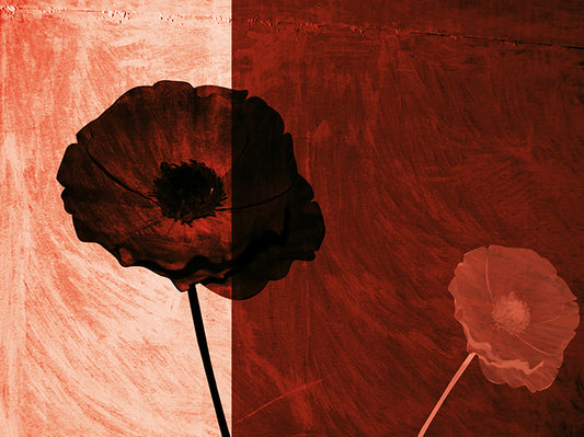 AADT8496477 Poppies in the breeze available in multiple sizes