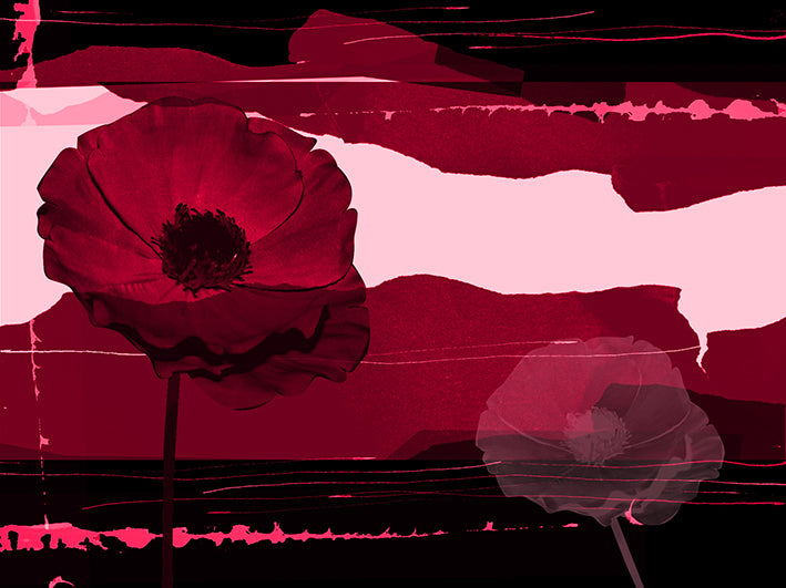 AADT8509301 Poppies in the breeze 2, available in multiple sizes