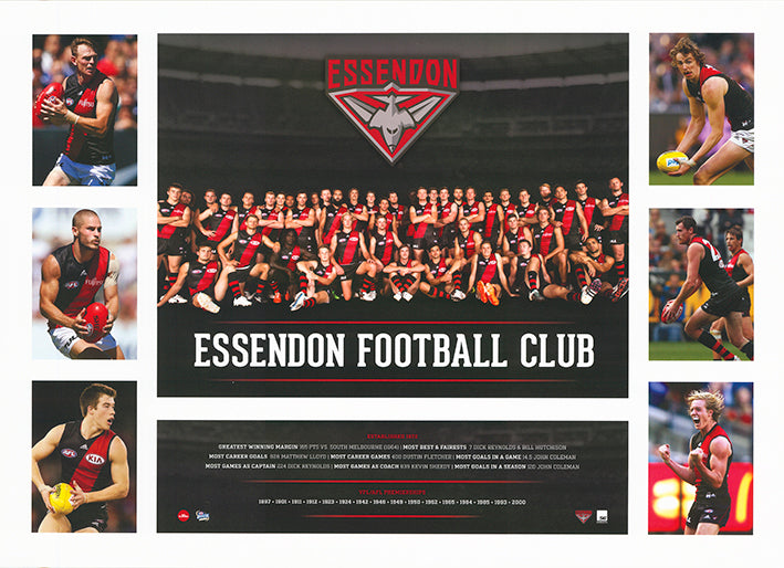 AFL Essendon Football Club 50x70cm paper - Chamton