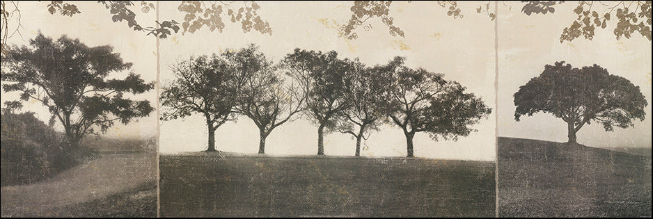 AJ NBL1279 Trees in the mist by Peta Silverson 91x30cm on paper