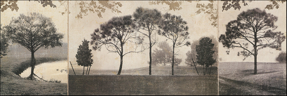 AJ NBL1280 Trees in the mist 2 by Peta Silverson 91x30cm on paper