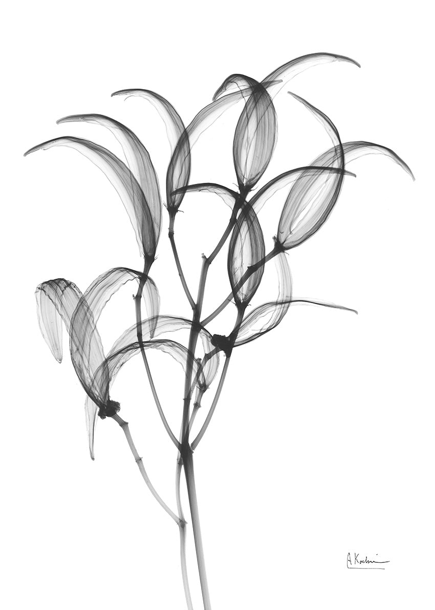 AK8-RC-073A Nightly Oleander Bush, available in multiple sizes - Chamton