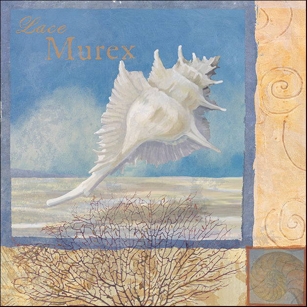 ALIZOE110198 Ocean Beauties I, by Art Licensing Studio, available in multiple sizes
