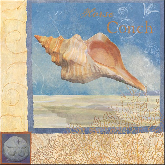 ALIZOE110200 Ocean Beauties III, by Art Licensing Studio, available in multiple sizes