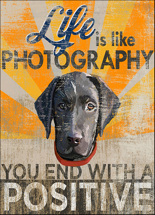 ALIZOE111887 Dog Days - Lab pup, by Art Licensing Studio, available in multiple sizes