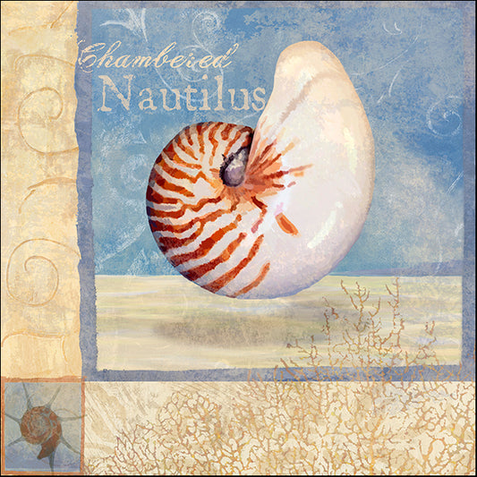 ALIZOE112278 Ocean Beauties V, by Art Licensing Studio, available in multiple sizes