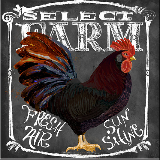 ALIZOE125967 Rooster on Chalkboard III, by Art Licensing Studio, available in multiple sizes - Chamton