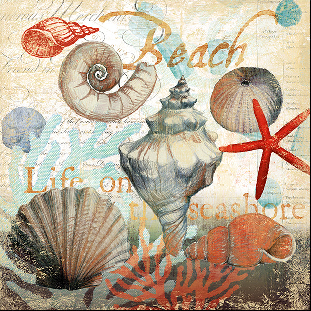 ALIZOE126590 Shell Collector 1, by Art Licensing Studio, available in multiple sizes