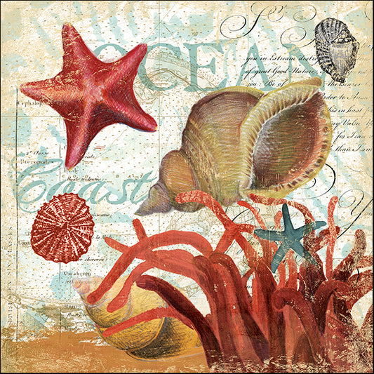 ALIZOE126591 Shell Collector 1I, by Art Licensing Studio, available in multiple sizes