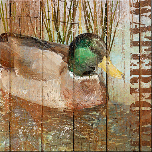 ALIZOE127098 Open Season Mallard, by Art Licensing Studio, available in multiple sizes - Chamton