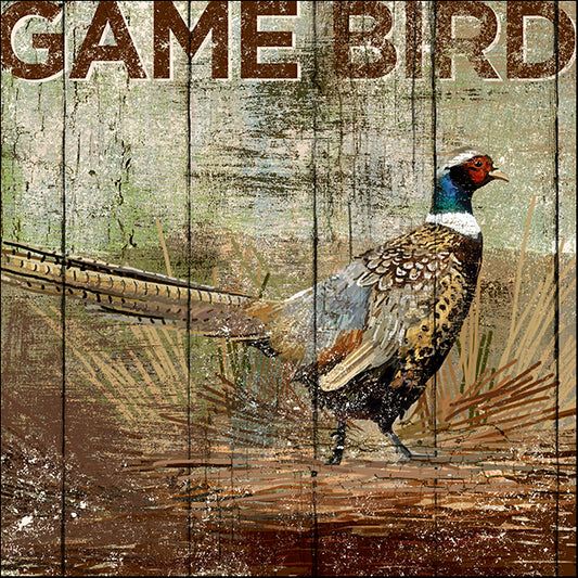 ALIZOE127373 Open Season Pheasant, by Art Licensing Studio, available in multiple sizes
