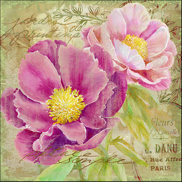 ALIZOE131665 Peony Garden II, by Art Licensing Studio, available in multiple sizes