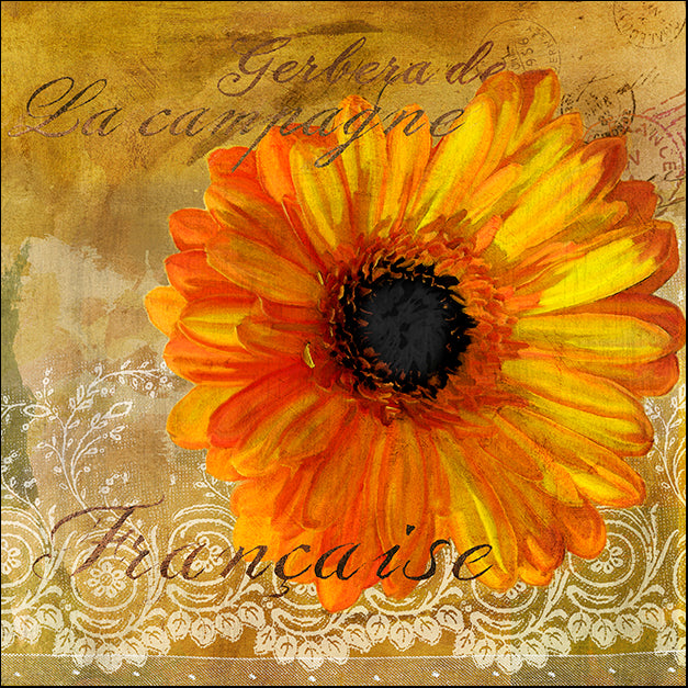 ALIZOE131909 Gerbera Francaise, by Art Licensing Studio, available in multiple sizes