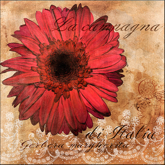 ALIZOE131911 Gerbera Italia, by Art Licensing Studio, available in multiple sizes - Chamton